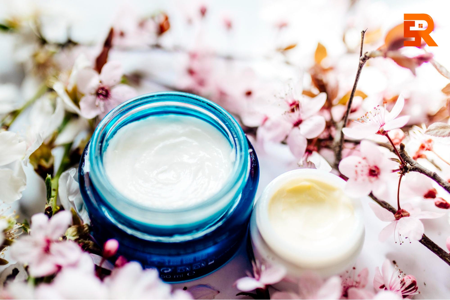 Night Cream